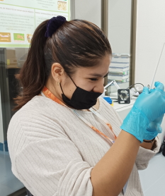 Arely Y. Cubas Hern�ndez