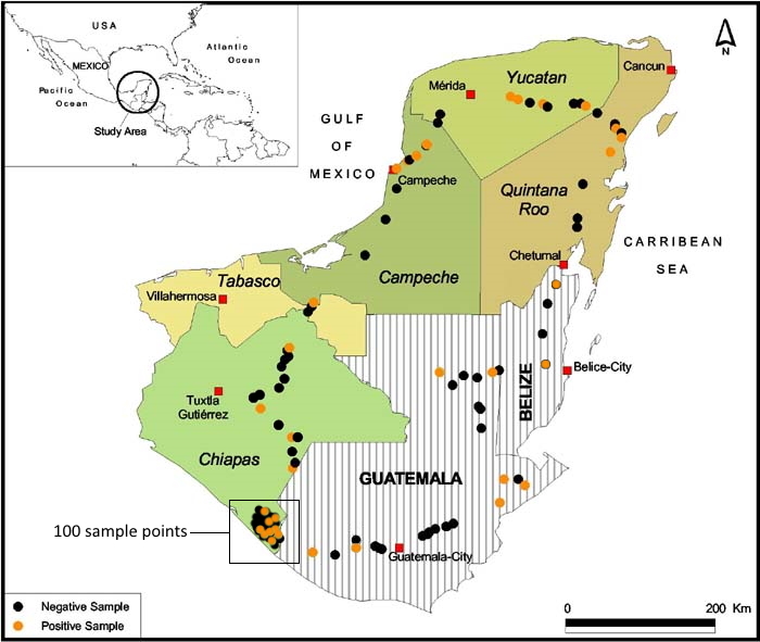 Presence of SfMNPV is soils of Mexico, Belize and Guatemala