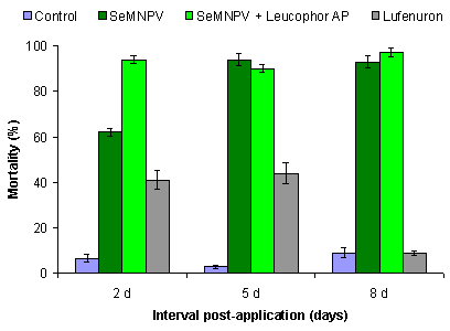 Biological insecticide: efficacy of Spodoptera exigua nucleopolyhedrovirus (baculovirus) in the control of this pest in greenhouse grown sweet pepper crops.