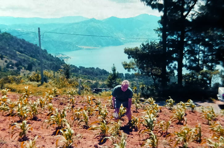 Sampling soil in a maize field in Guatemala for the presence of SfMNPV